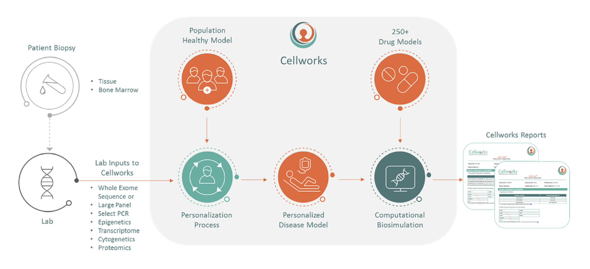 Cellwork Precision Medicine Workflow